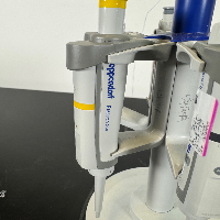 Eppendorf Research Plus Single Channel Pipettes - Quantity 6 image 0